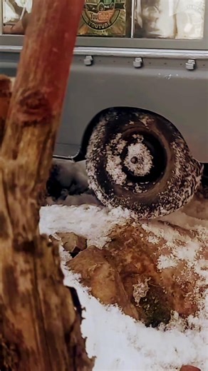 Blizzard on my RC track #rc #shorts #snow #boomracing #fcx #fms #axial #rc4wd #trx4 #rcadventure