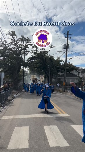 Societe Du Boeuf Gras | Mardi Gras Parade 2026 - Mobile, Alabama #mardigras #mobilealabama Cloaked and masked members of the Société du Boeuf Gras parade up Dauphin Street on Mardi Gras morning, carrying a papier-mâché bull to “wake up the town” and officially mark the start of the day’s festivities. The Boeuf Gras, or “Fatted Ox,” is a centuries-old European Carnival tradition symbolizing abundance and indulgence before the Lenten season begins. 🕘 The procession begins at 9:00 AM, continuing o