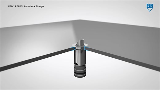 PEM® PFAP™ Auto-Lock Plunger