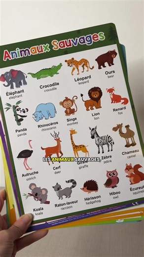 Fiches ludiques pour apprendre avec succès