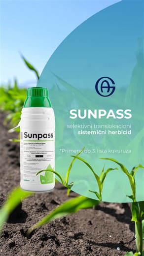 🌱 SUNPASS – selektivni translokacioni sistemični herbicid ✔ Efikasna kontrola korova ✔ Sigurna primena u ranoj fazi razvoja useva ✔ Čist i zdrav start kukuruza Uz Agroglobe, birate proverena rešenja za sigurnu i efikasnu zaštitu useva. ✅ #agroglobe #agrobiznis #poljoprivreda #sunpass | Agroglobe