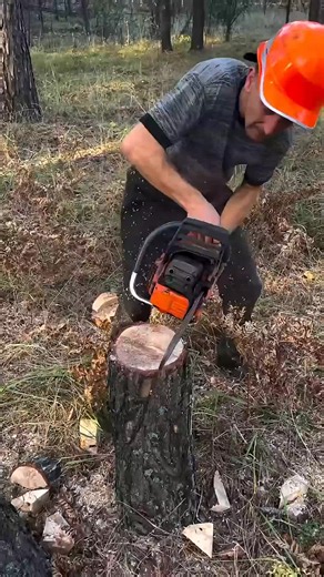 Sister's Success Story: From Invisible to Manhattan Penthouse