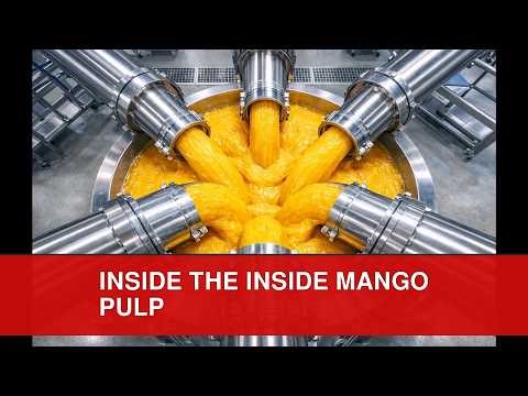Inside Mango Pulp Factory- From raw Mangoes to Canned Pulp