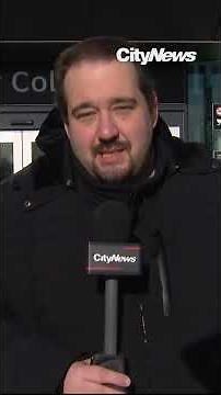 Calls grow to speed up Line 6 Finch West LRT trips