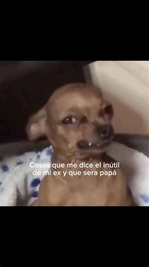 #chisme #ex #fypage #paratiiiiiiiiiiiiiiiiiiiiiiiiiiiiiii | chisme