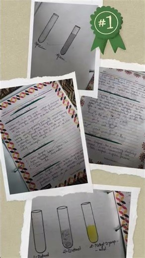 class12th chemistry 🧪🧪 art integrated project...