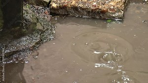 Puddle of Water, Mud and Dirty Water Puddle Formed as a Result of Rain. Close Up.
