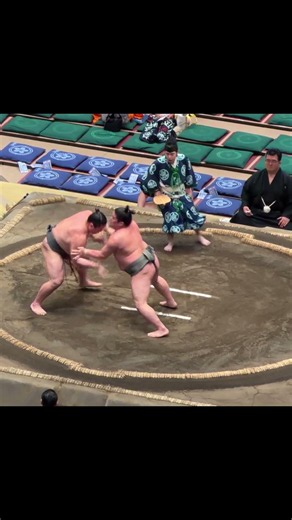 天照馬VS琴翼！2026年大相撲5月場所