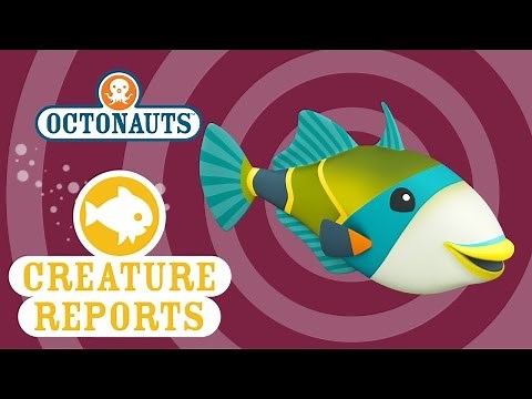 Octonauts: Creature Report - Humu