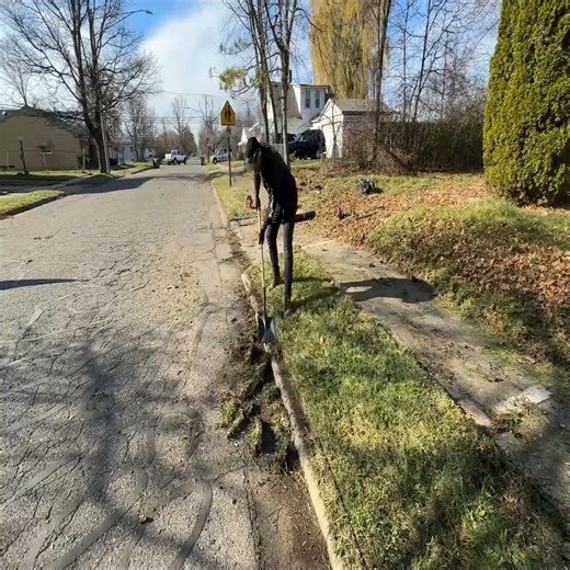 11K views · 267 reactions | Struggling Homeowner Gets a Life Changing Free Yard Makeover Amazing Before & After! | Free Lawn Care | Facebook