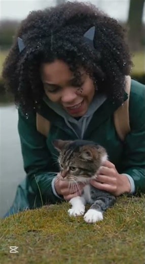 A Girl Saves a Drowning Cat—What Happens Next Shocks All !!! #animatic #undertalelive