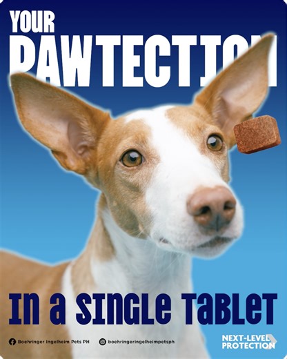 Protect your dog with one simple, monthly move! 🛡️ Spectra offers all-in-one defense against fleas, ticks, mites, heartworm, and intestinal worms in a single, beef-flavored chew. It’s highly palatable, waterproof, and starts working in minutes, replacing the need for multiple tablets or messy spot-ons. Give your furry friend complete next level protection with a 'treat' they’ll actually love. 🐾🐶 Does your dog think their monthly dose is a treat or a trick? Tell us in the comments! 👇 #Spectra