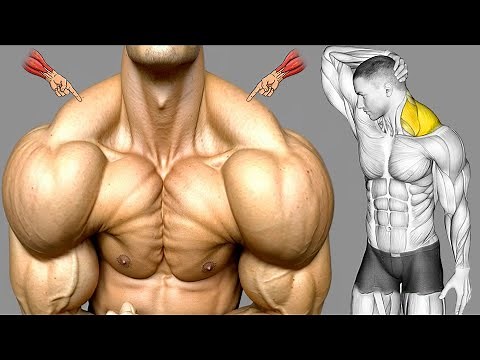 9 Exercises to Build Big Trapezius