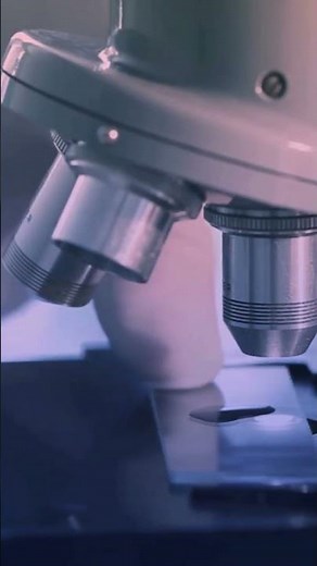 Which Microscope is Right for You