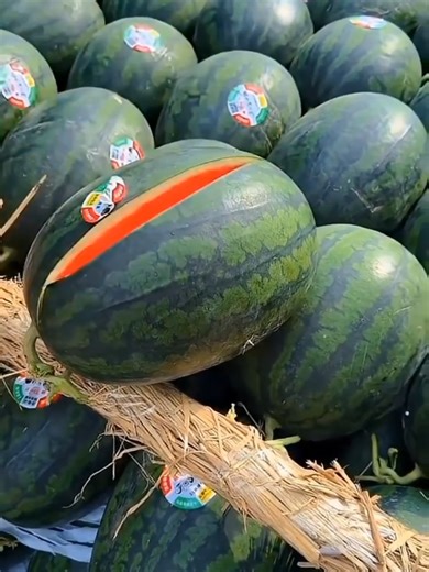 Mastering Glass Cutting Techniques for Stunning Decor