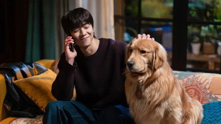 Ver In Your Radiant Season capitulo 11 online sub español HD ► Doramasflix