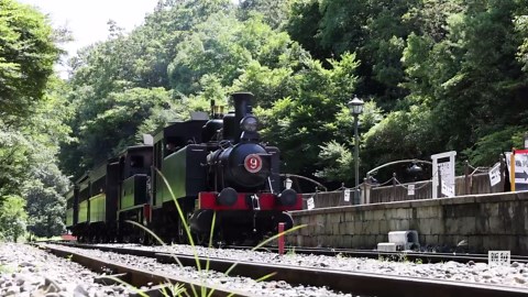 明治村の蒸気機関車、7年ぶり「重連運転」　迫力の時間旅行