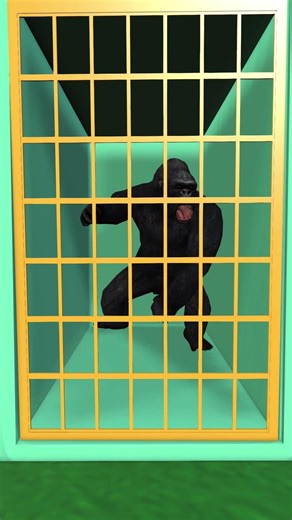 Wild African Predators in the Zoo #animation