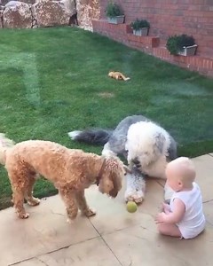 lets play together..!! | Back to Nature