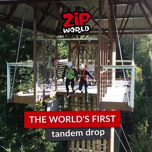 The world's first tandem drop experience is back. Plummet 100ft from the treetop canopy & experience the thrill of freefall. | Zip World