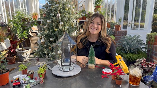 Terrarium Christmas Fairy Garden! 🎄🪴🧚‍♀️ | Garden Answer