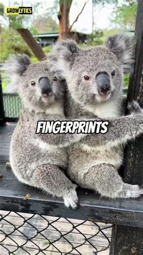 10 Crazy Animal Facts in 20 Seconds