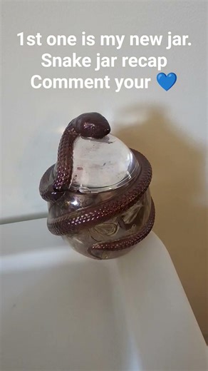 Snake jar recap. comment pls
