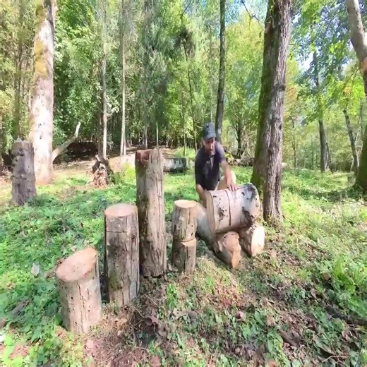 Building a Secret Underground Shelter Deep Inside Big Oak Tree, bushcraft, survival_010 | Off-Grid Adventures