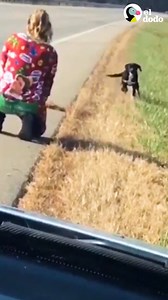 Cuando por fin se siente a salvo, brinca de la felicidad 💗 | El Dodo