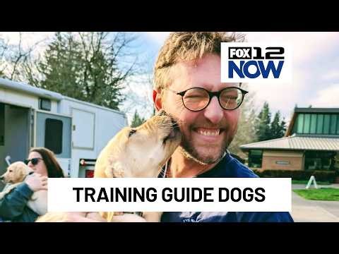 Raising & training puppies with Oregon Guide Dogs for the Blind