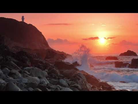 足摺岬 うめまつり