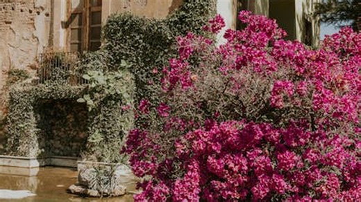 Inside the Worlds First 3D-Printed Luxury Mansion