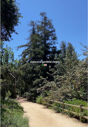 Exploring California's Botanic Gardens on National Public Gardens Day