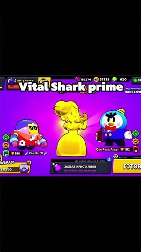 Vital shark prime