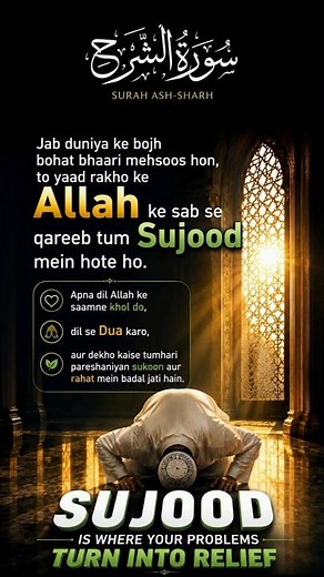 Surah Ash-Sharh | Beautiful Quran Recitation | Sheikh Noreen | Heart Touching Tilawat