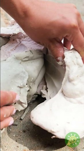 El DIY más creativo: una mano convertida en maceta 🔥🌿🖐️