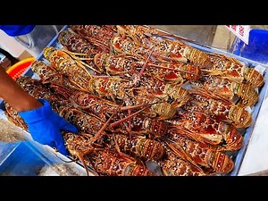 Miami Food - FRESH LOBSTERS and STONE CRAB CLAWS Key Largo Fisheries Seafood Florida USA