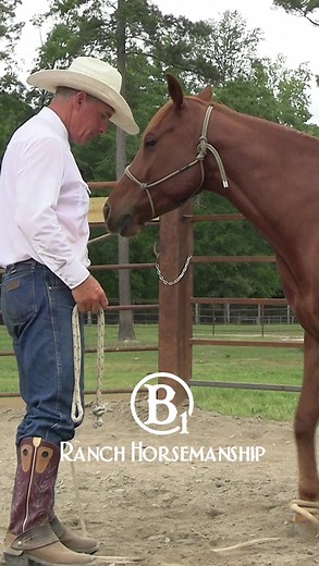 419K views · 3.5K reactions | From the collection: How To Hobble...