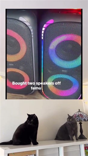 Testing What $12 Speakers From Temu Actually Sound Like