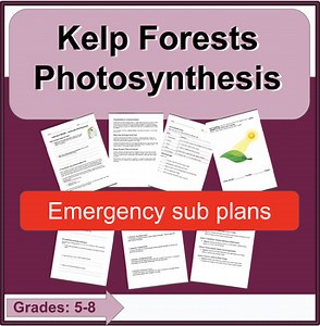 Modeling Photosynthesis & Kelp Forests _ No-Prep Science Reading   comprehension