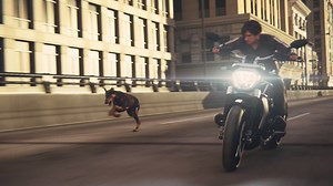 7.5K views · 457 reactions | Zombie dogs on the loose! Watch this...