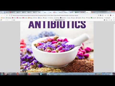 Baca Buku Online (Convert EPUB to PDF, Translate PDF, Herbal Centella Asiatica & Ginko Biloba)