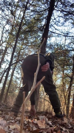 Building a Forest Fort Shelter by Hand please blow this video up🙏