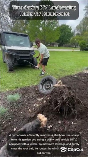 The Ultimate Mechanical Shortcut for Clearing Deeply Rooted Tree Stumps