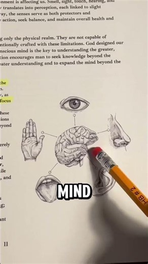 The Pope’s 5 doors = your 5 senses Book of Wisdom Vol