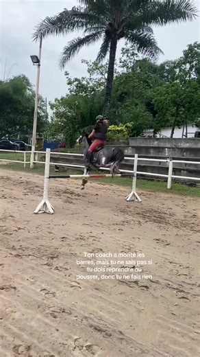 Understanding Bar Exercise Techniques for Better Results