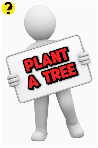 Why is Planting Trees Important ? 🤔 #facts #tree #plants #knowledge