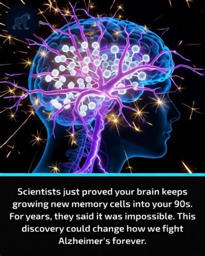 The Brain Hack They Thought Was Impossible #trending #science #brain