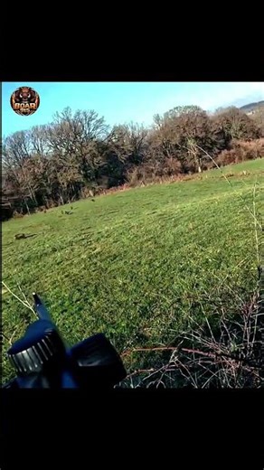 Desafio na Mata: Caça ao Javali Selvagem#DesafioNaMata#JavaliSelvagem