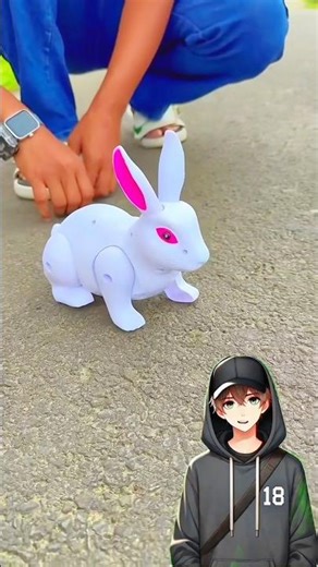 Remote control spider and Rabbit Unboxing💛